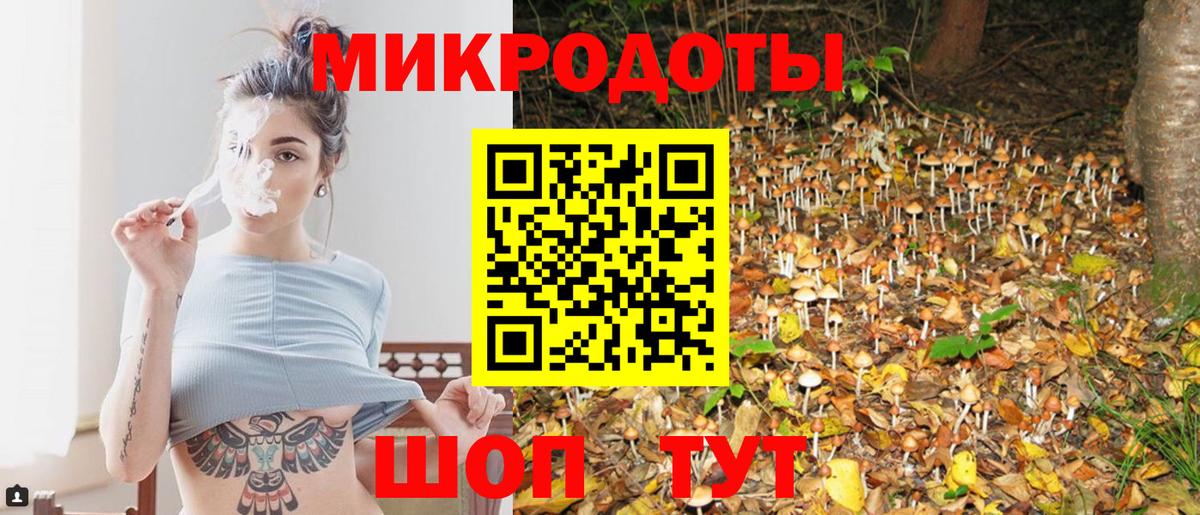 Кизляр  Галлюциногенные грибы мухоморы  Вход с VPN 