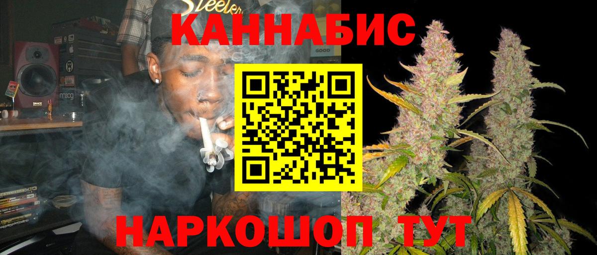 Каннабис конопля Кизляр